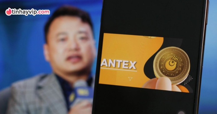 shark-binh-antex Tóm tắt vụ Shark Bình - AntEx với các nội tình đầy nghi vấn