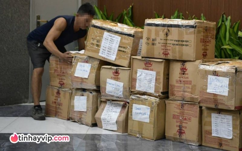 Shark Bình bị bắt thật không? Thông tin shark Bình hiện tại