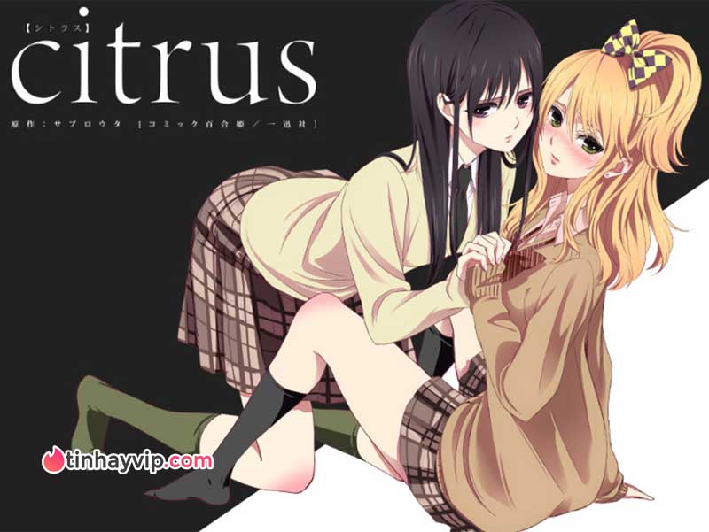 Citrus yuri anime