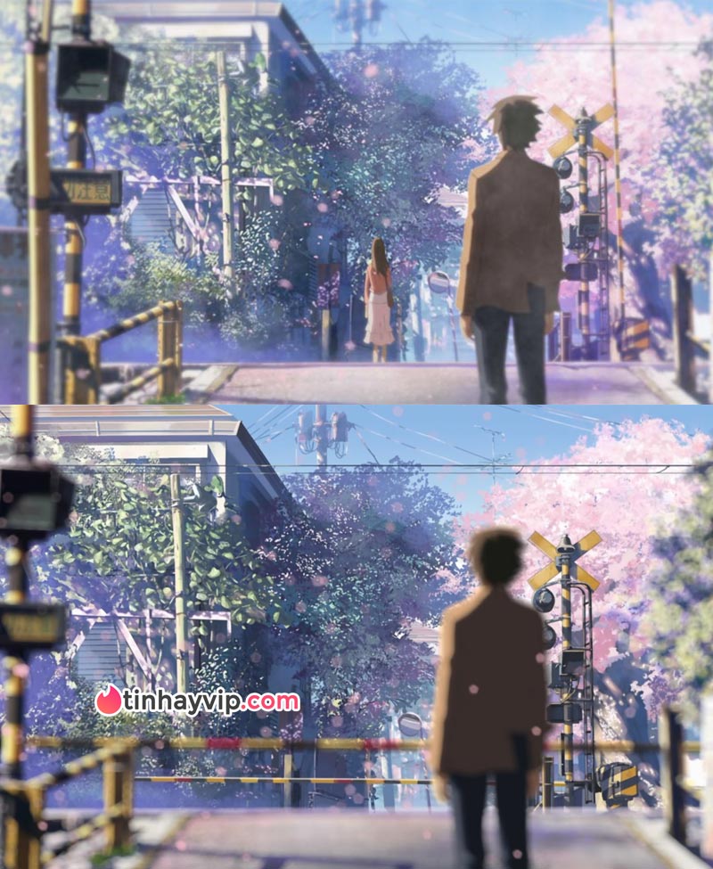 5 Centimet Trên Giây trở lại rạp Việt Nam sau 18 năm 5 Centimet Trên Giây trở lại rạp Việt Nam sau 18 năm