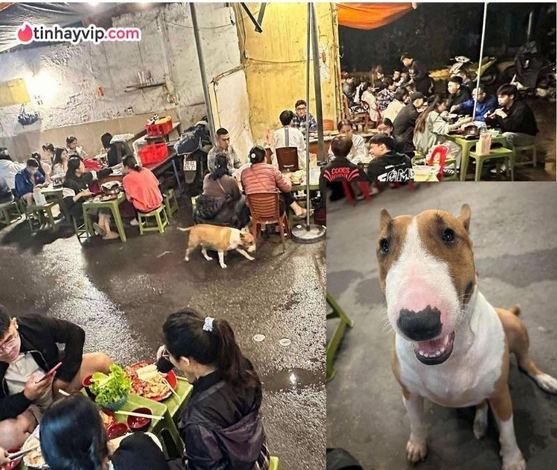 Hiện tượng "Phở anh Hai" - Brother Hai's Pho Restaurant và sự nổi tiếng từ trùng hợp của "Tam Ca" Brother Hai's Pho Restaurant