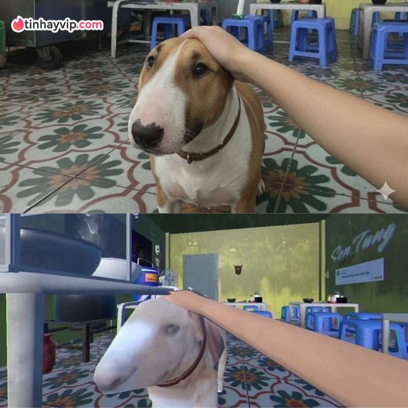 Hiện tượng "Phở anh Hai" - Brother Hai's Pho Restaurant và sự nổi tiếng từ trùng hợp của "Tam Ca" Brother Hai's Pho Restaurant