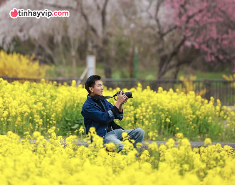 Khoai lang thang và drama Hoa Hồng Đen