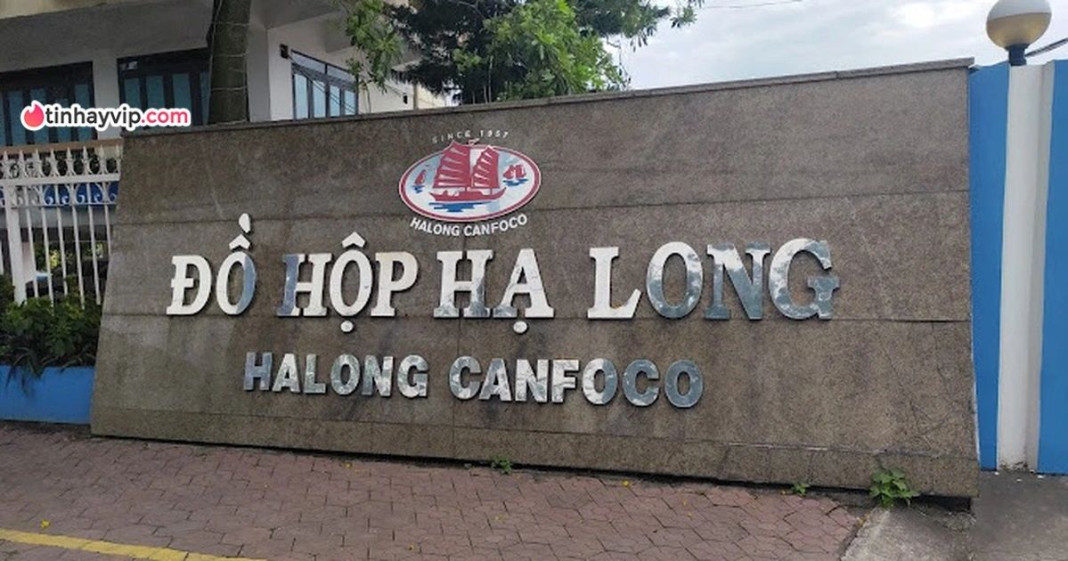 Tin NÓNG: Bắt khẩn cấp lãnh đạo Công ty Đồ hộp Hạ Long