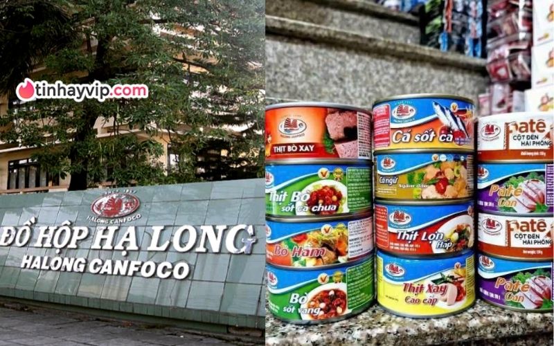 Tin NÓNG: Bắt khẩn cấp lãnh đạo Công ty Đồ hộp Hạ Long