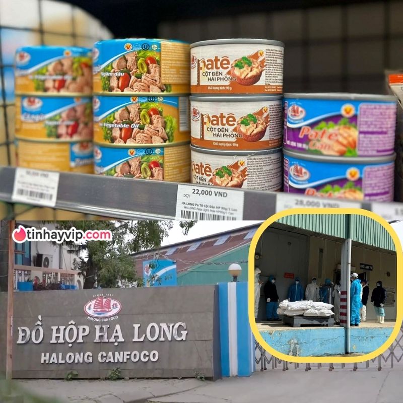 TikToker Lê Anh Nuôi xóa toàn bộ video liên quan đồ hộp Hạ Long Video Pate của Đồ Hộp Hạ Long bị xóa khỏi kênh Lê Anh Nuôi!