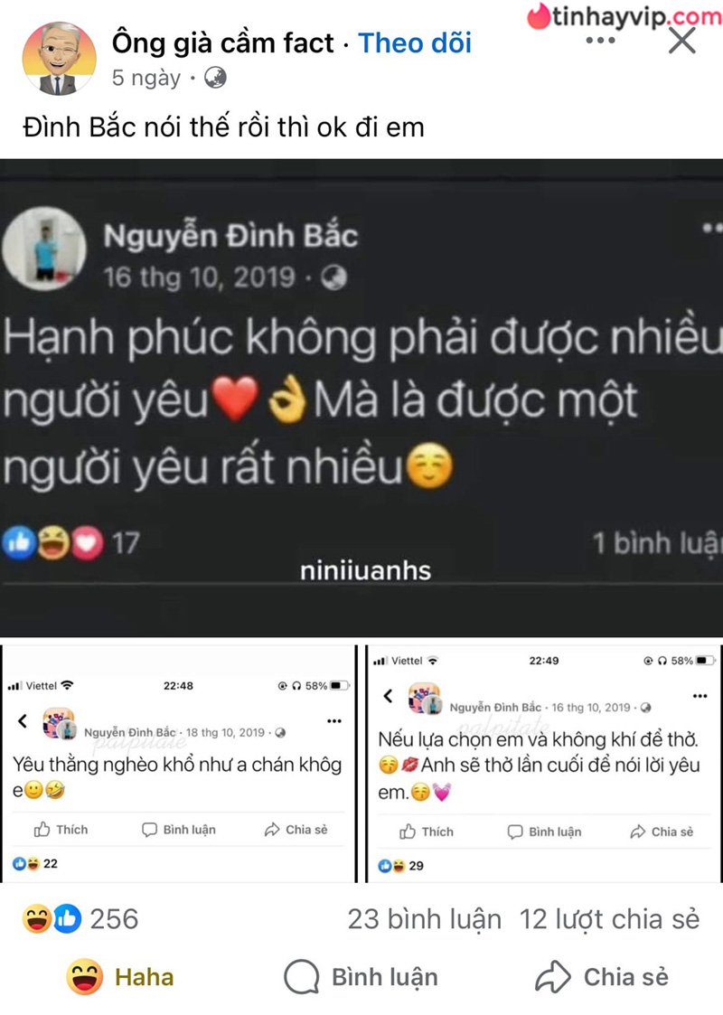 Đình Bắc
