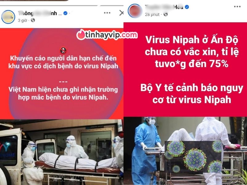 Cảnh báo Virus Nipah tại Ấn Độ có tỷ lệ tử vong cao