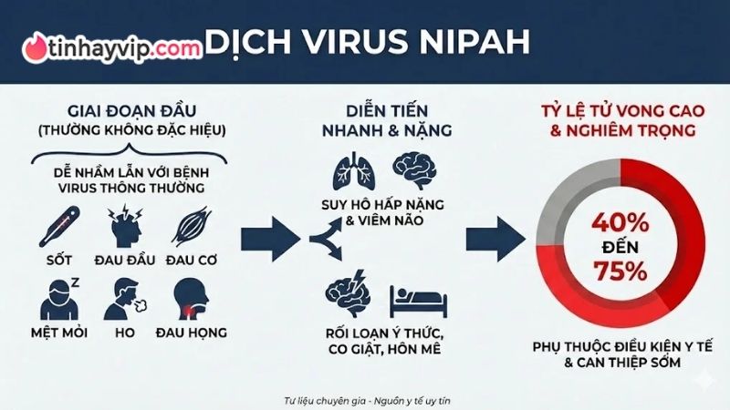Cảnh báo Virus Nipah tại Ấn Độ có tỷ lệ tử vong cao