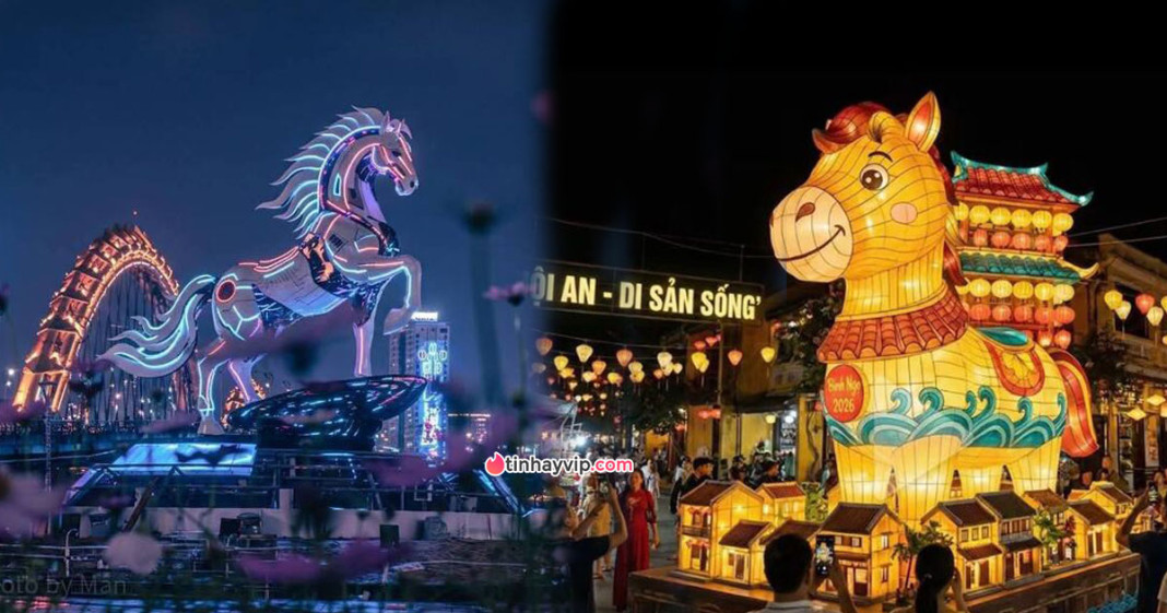 Chiêm ngưỡng dàn 