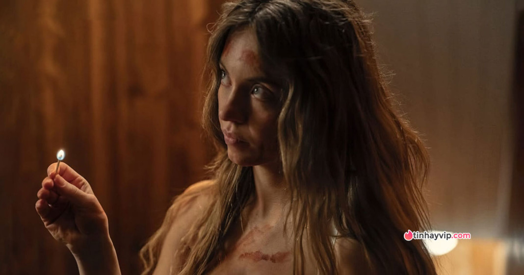 Red flag Cô Hầu Gái phim 18+ đạt doanh thu gấp 10 lần vốn