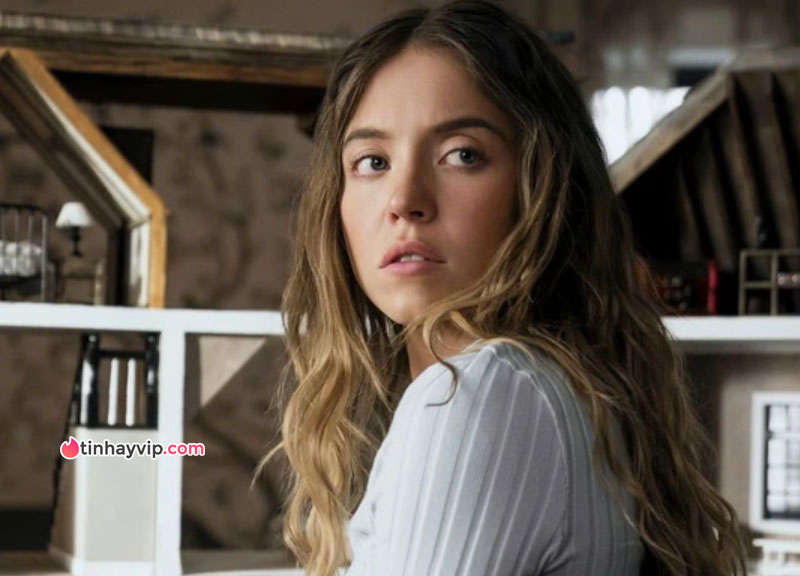 Red flag Cô Hầu Gái phim 18+ đạt doanh thu gấp 10 lần vốn