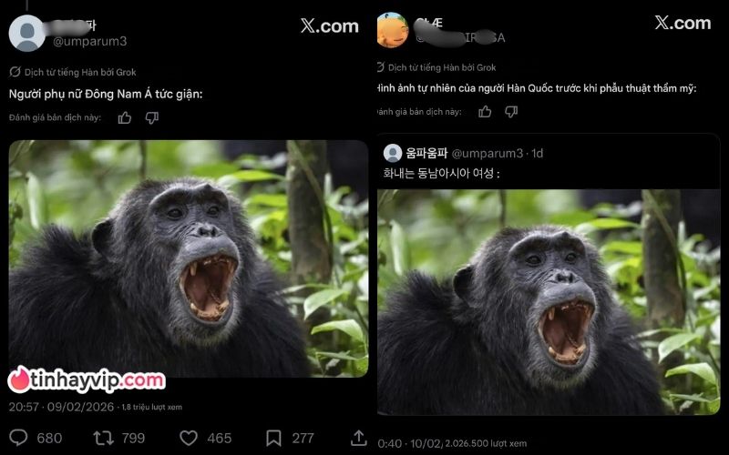 Drama fan Hàn Quốc và fan Đông Nam Á từ X sang Threads