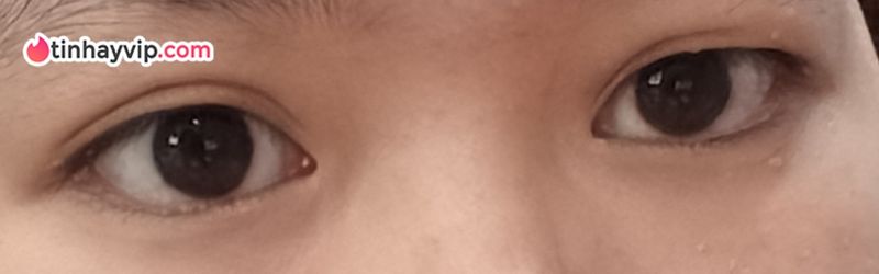 Drama fan Hàn Quốc và fan Đông Nam Á từ X sang Threads