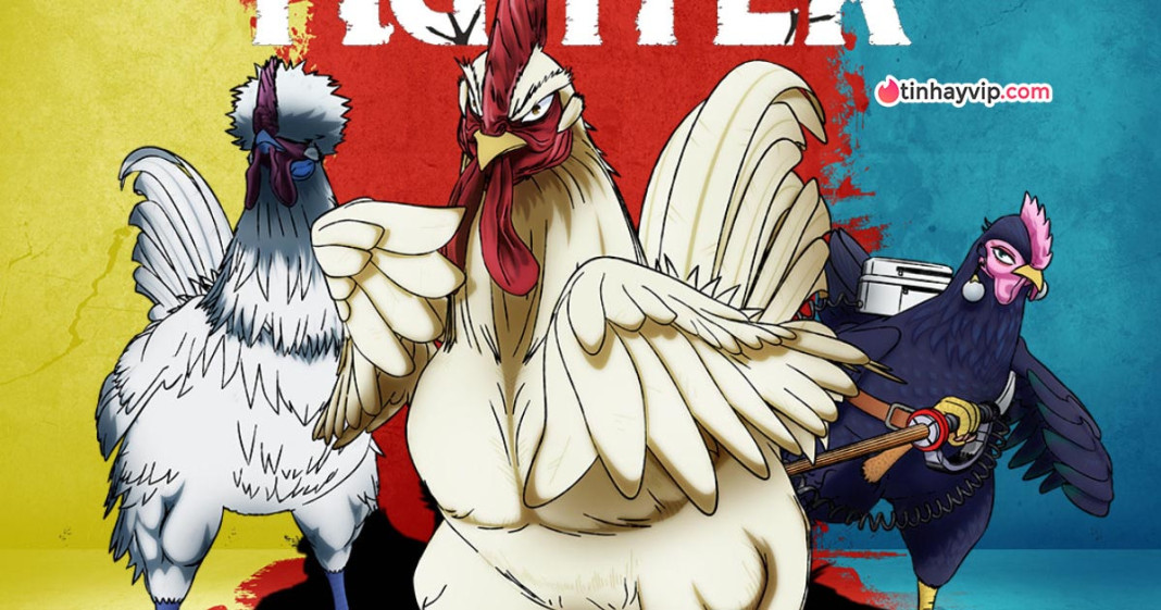 Anime 2026 hot nhất Mùa Xuân: Rooster Fighter - Khi gà cũng bị...NTR