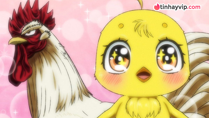 Anime 2026 hot nhất Mùa Xuân: Rooster Fighter - Khi gà cũng bị...NTR Anime 2026 hot nhất Mùa Xuân: Rooster Fighter - Khi gà cũng bị...NTR