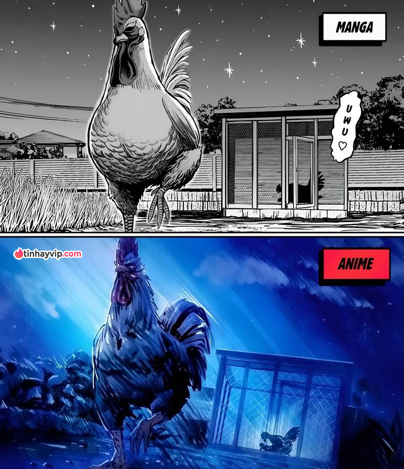 Anime 2026 hot nhất Mùa Xuân: Rooster Fighter - Khi gà cũng bị...NTR Anime 2026 hot nhất Mùa Xuân: Rooster Fighter - Khi gà cũng bị...NTR