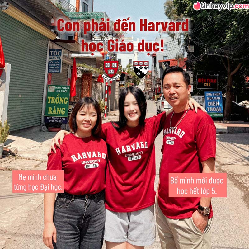 Chu Pal gây tranh cãi với phát ngôn "nhà nghèo" đỗ Harvard