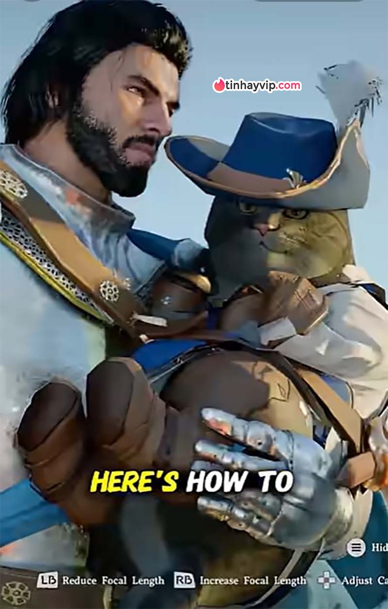 Crimson Desert: Thú vui nuôi mèo chiếm sóng cộng đồng