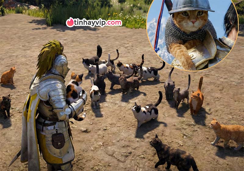 Crimson Desert: Thú vui nuôi mèo chiếm sóng cộng đồng