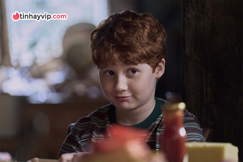 Harry Potter: Cú nổ truyền hình dịp Giáng Sinh 2026 Harry Potter 2026: Cú nổ truyền hình dịp Giáng sinh