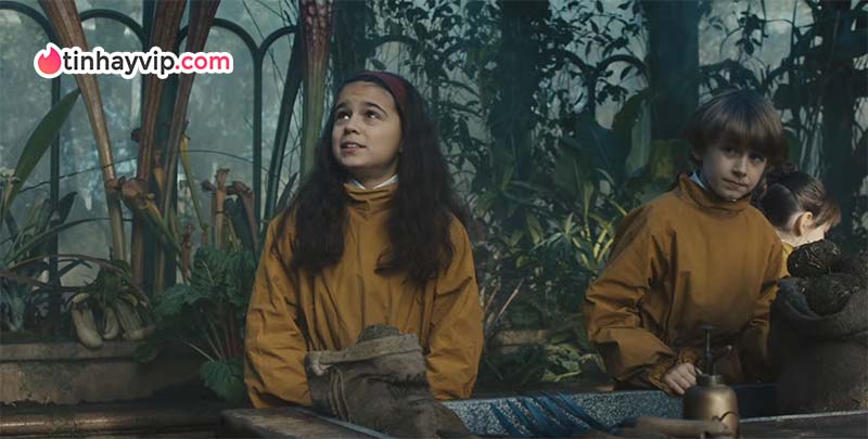 Harry Potter: Cú nổ truyền hình dịp Giáng Sinh 2026 Harry Potter 2026: Cú nổ truyền hình dịp Giáng sinh