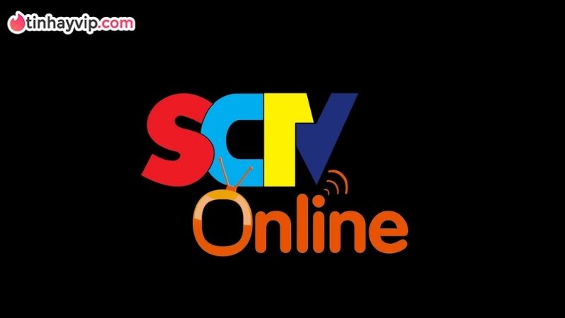 Top kênh xem bóng đá trực tiếp có bản quyền được ưa chuộng