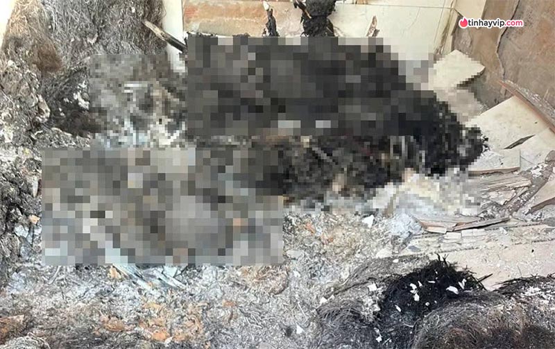 Bàng hoàng vụ 4 thi thể bị cháy trong căn nhà cấp 4 tại Gia Lai