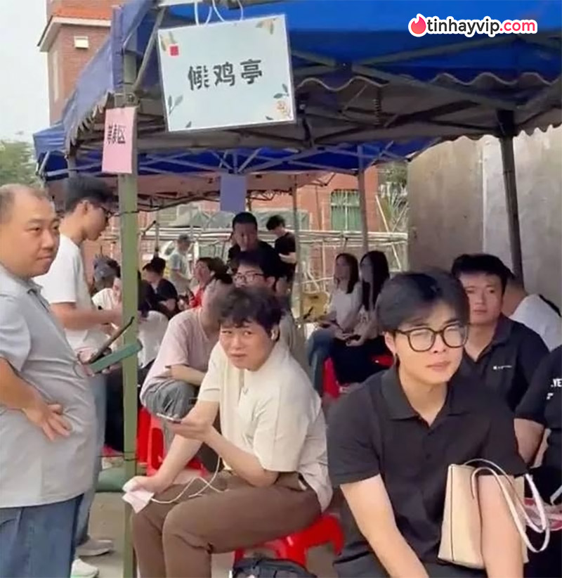 Chủ quán lẩu gà Trung Quốc viral cõi mạng vì lý do bất ngờ