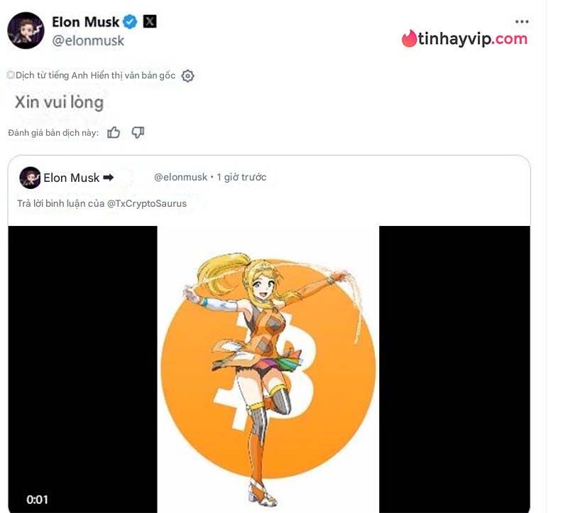 Elon Musk công bố tính năng dịch tự động Nhật - Anh trên X