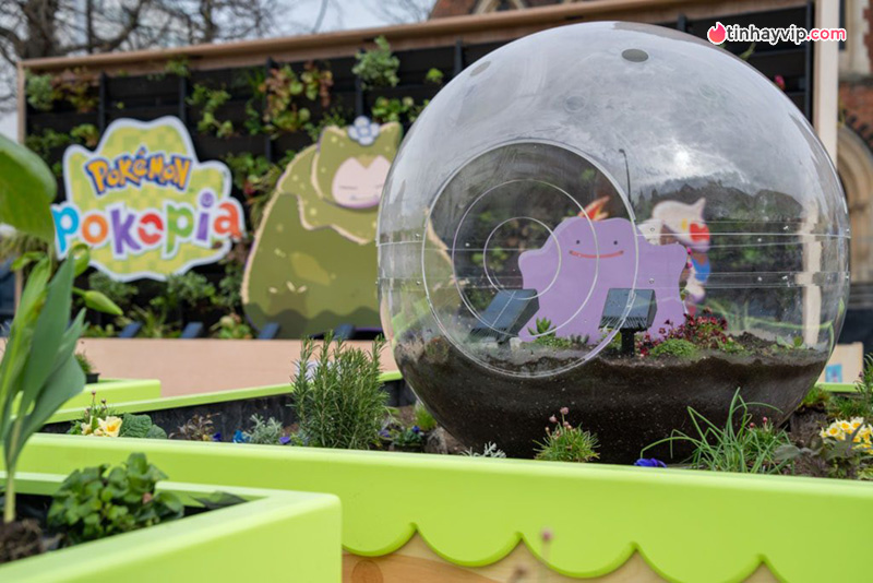 Pokopia Garden: Công viên Pokemon siêu cute gây chú ý tại London Pokopia Garden: Khi trải nghiệm Pokemon được gói gọn trong một trạm dừng chân phố thị