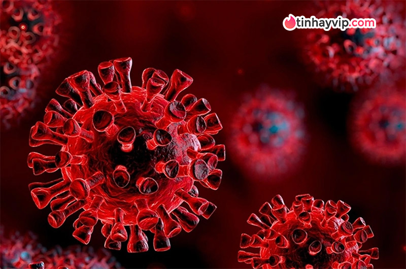 Thông tin mới nhất về số ca COVID-19 "ve sầu" tại thủ đô, người dân cần chú ý Thông tin mới nhất về số ca COVID-19 "ve sầu" tại thủ đô, người dân cần chú ý