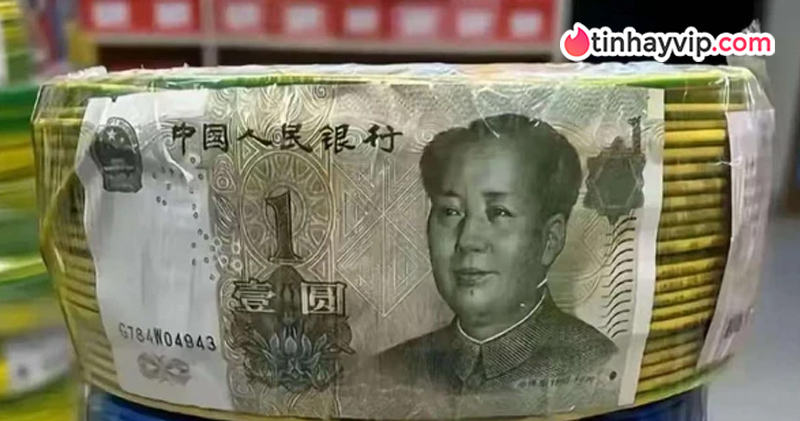 Trung Quốc giấu tiền thật trong cuộn cáp điện, hàng fake loại 1 cũng phải chào thua Trung Quốc giấu tiền thật trong cuộn cáp điện, hàng fake loại 1 cũng phải chào thua