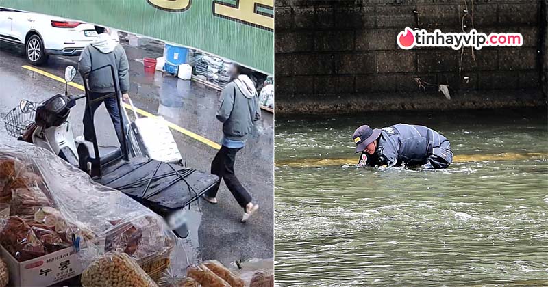 Chiếc vali đáng ngờ bên bờ suối hé lộ bí mật kinh khủng về "địa ngục trần gian" của người mẹ Vụ án thi thể mẹ vợ nằm gọn trong vali rúng động Hàn Quốc