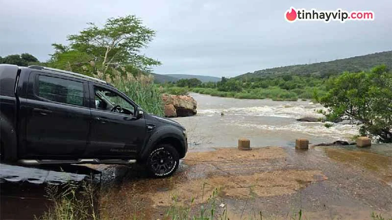 Cá sấu bị nghi ăn thịt người bị hạ gục sau 4 ngày truy đuổi