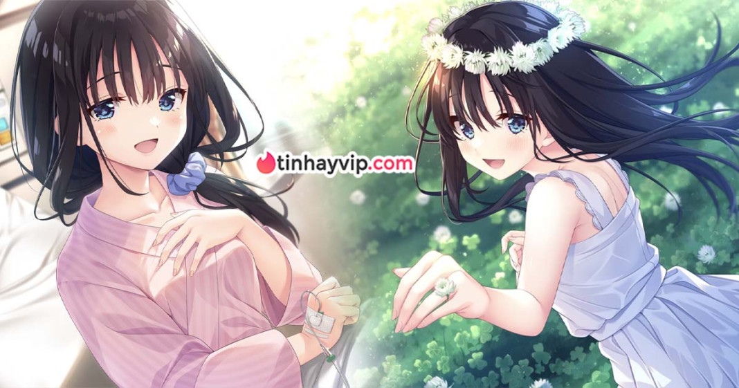 Sickly Days and Summer Traces: Giải mã bản tình ca mùa hè nhẹ nhàng nhưng đầy cám dỗ