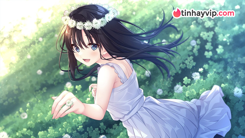 Sickly Days and Summer Traces: Giải mã bản tình ca mùa hè nhẹ nhàng nhưng đầy cám dỗ