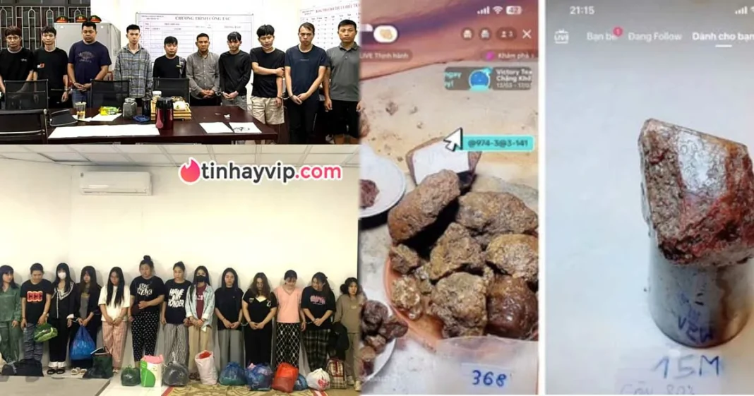 Triệt phá đường dây livestream cắt đá tìm ngọc khiến 32.000 người sập bẫy