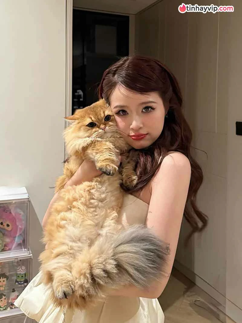 Hot Girl Việt Nam: Top 12 gương mặt đình đám hiện nay