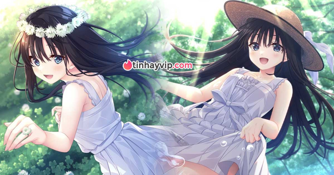 Sickly Days and Summer Traces: Giải mã bản tình ca mùa hè nhẹ nhàng nhưng đầy cám dỗ