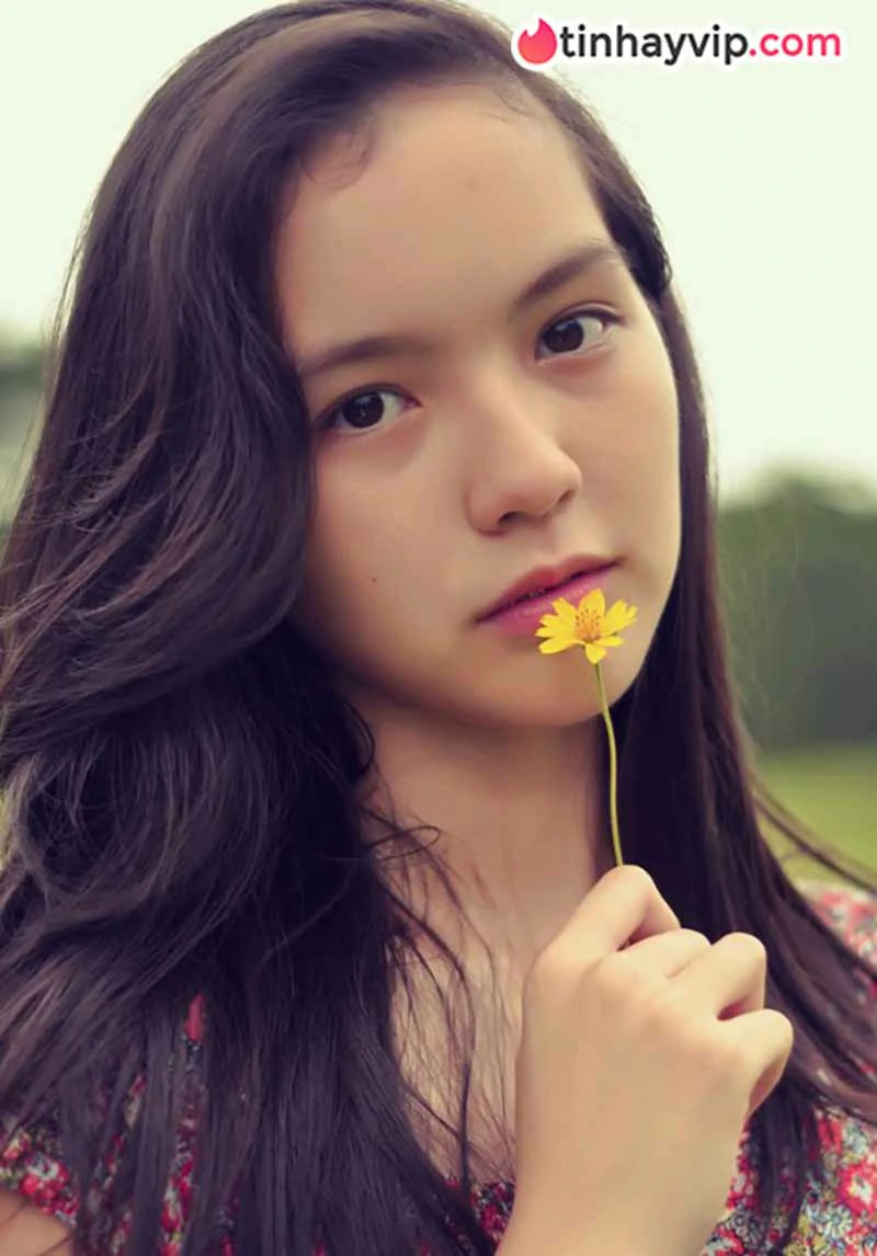 Hải Tú: Tiểu sử và hành trình của nàng thơ độc quyền