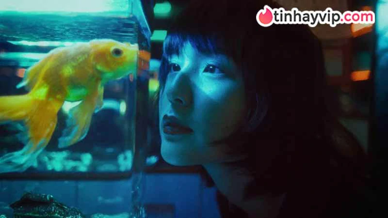 Hải Tú: Tiểu sử và hành trình của nàng thơ độc quyền