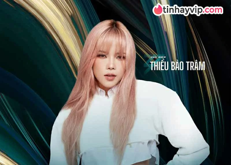 Thiều Bảo Trâm: Chi tiết tiểu sử và hành trình sự nghiệp