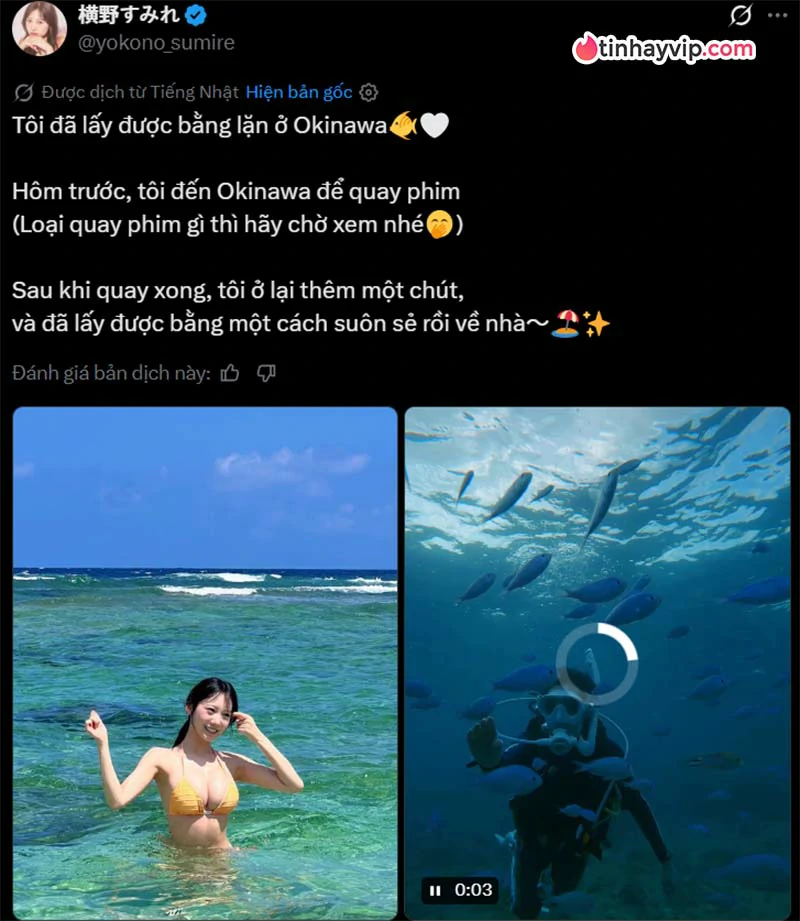 Yokono Sumire khoe chứng chỉ lặn sau chuyến đi biển